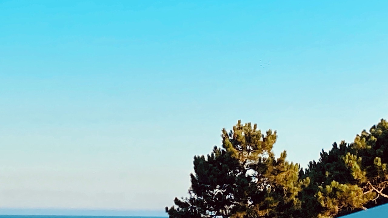 Photo of Others in Marinhas