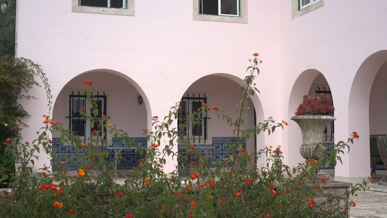 Photo of Outdoor in Azoia