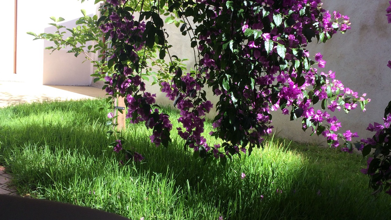 Photo of Outdoor in Coimbra City Centre