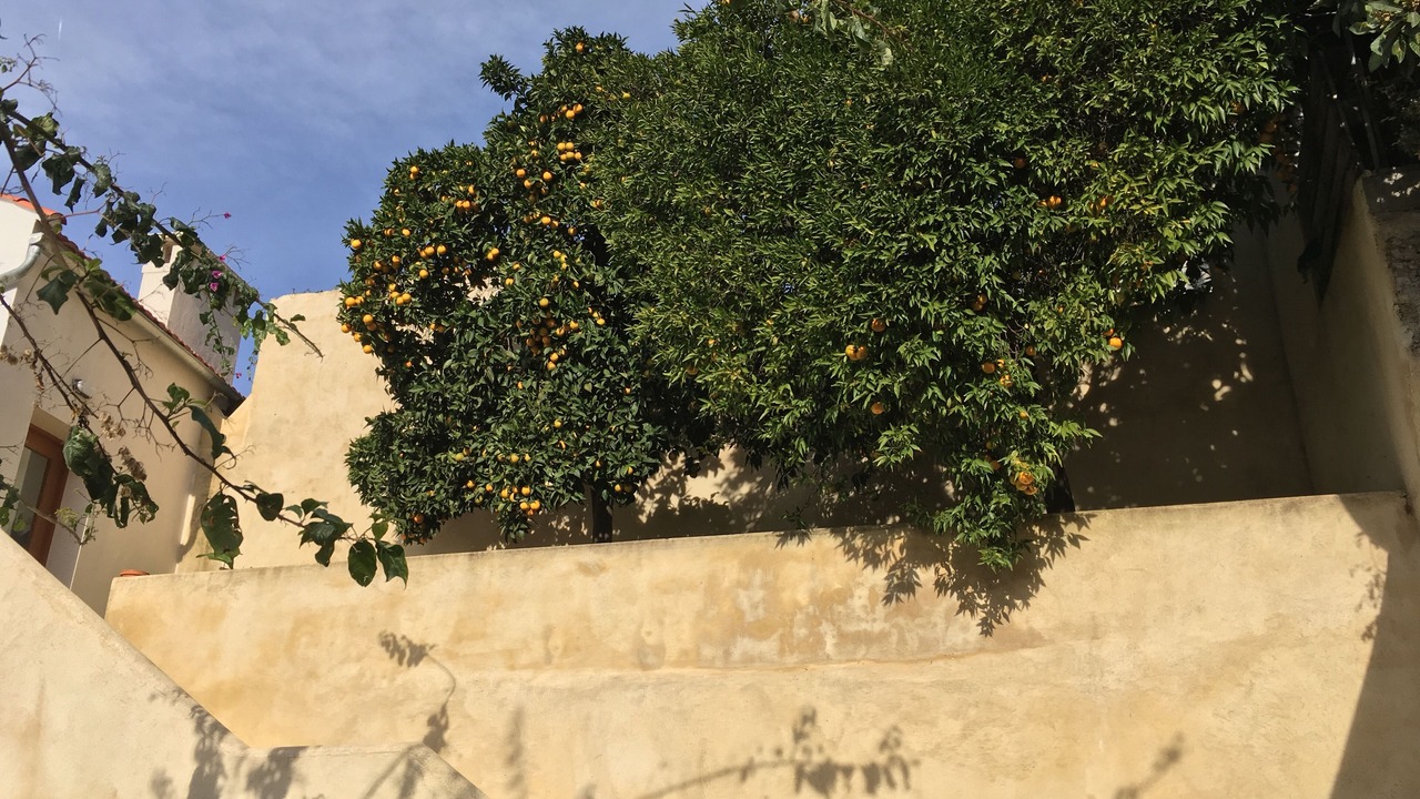 Photo of Outdoor in Coimbra City Centre