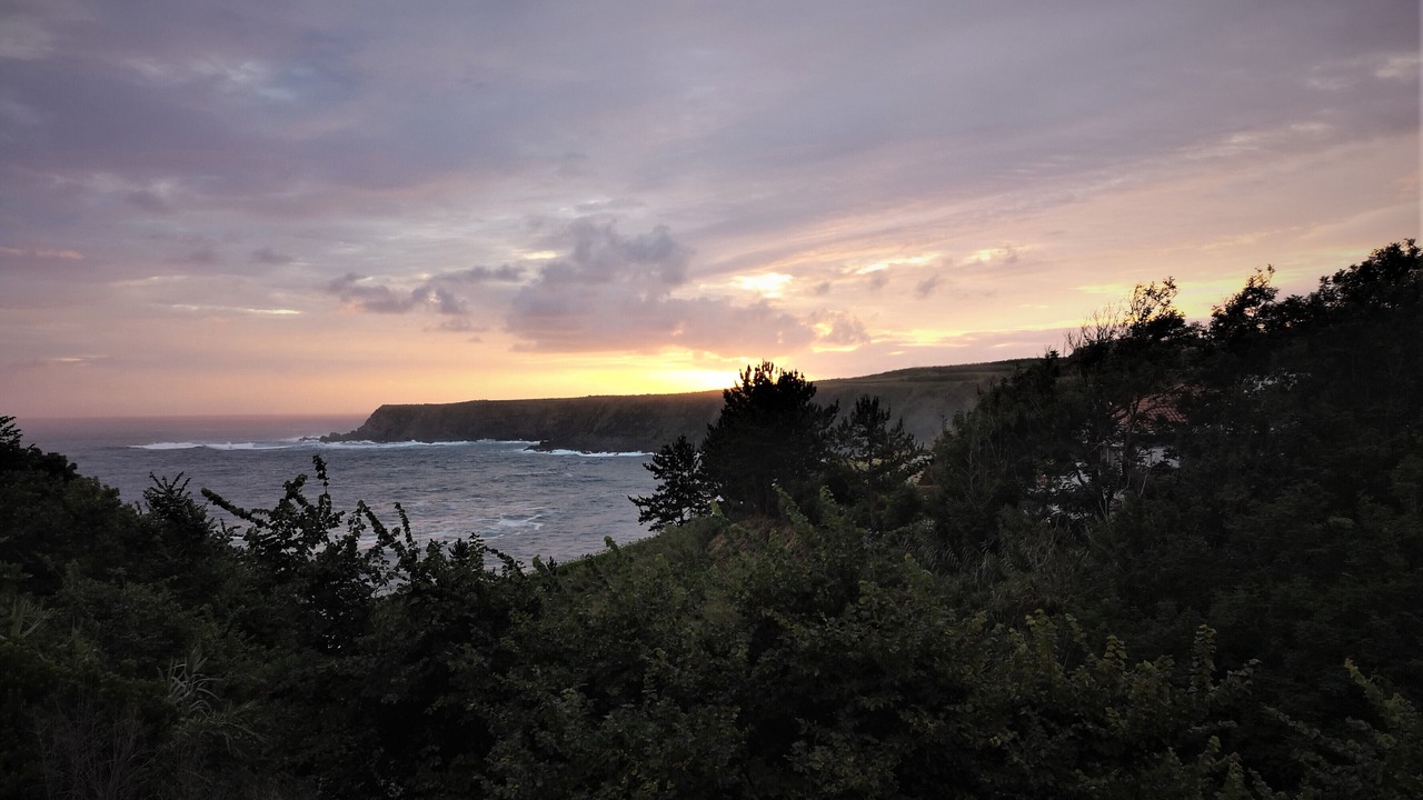 Photo of Others in Ribeira Grande