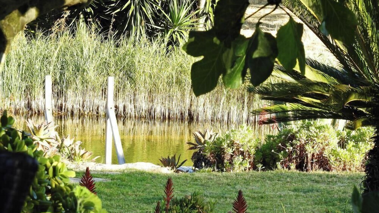 Photo of Outdoor in Atalaia