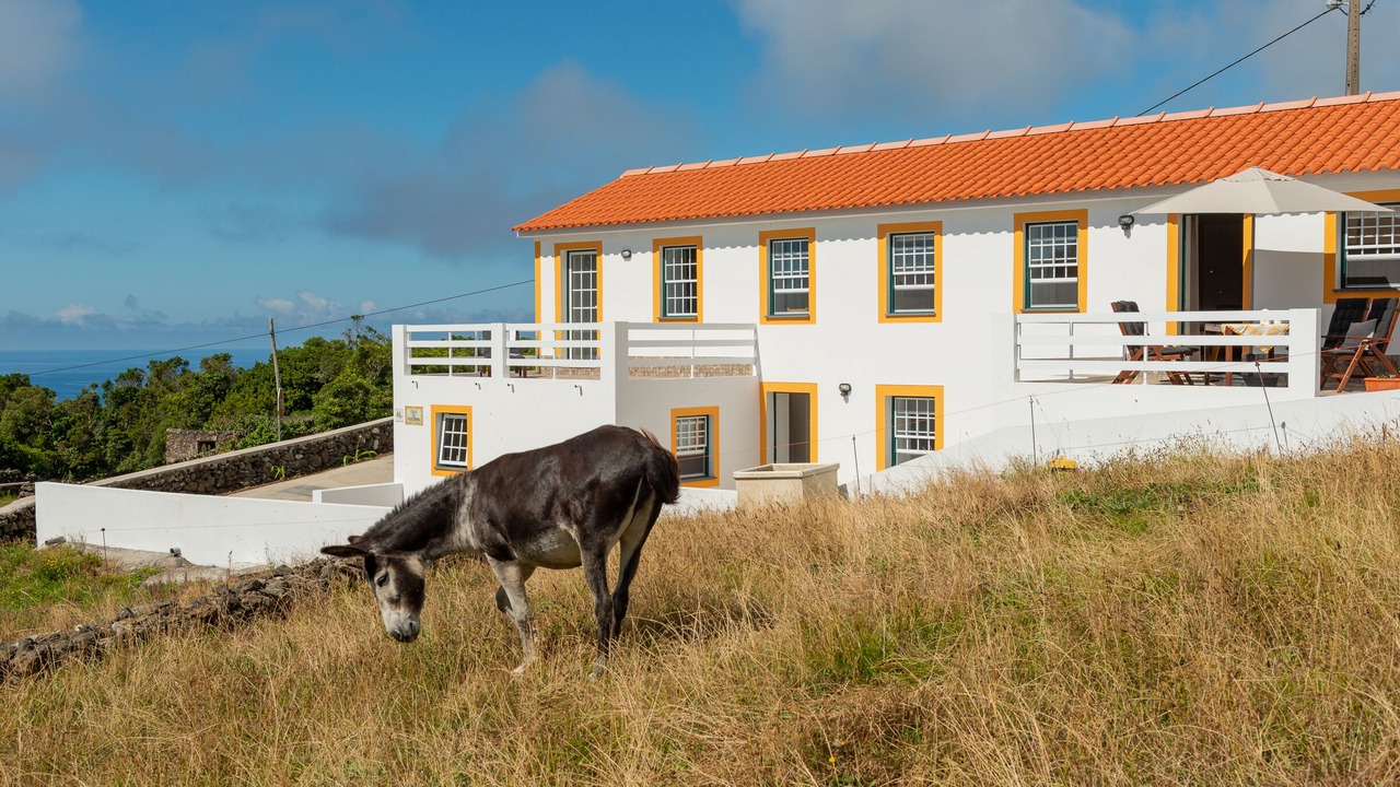 Photo of Outdoor in Lajes do Pico