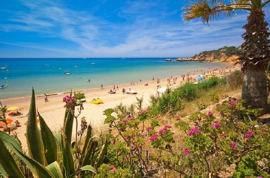 Photo of Others in Albufeira