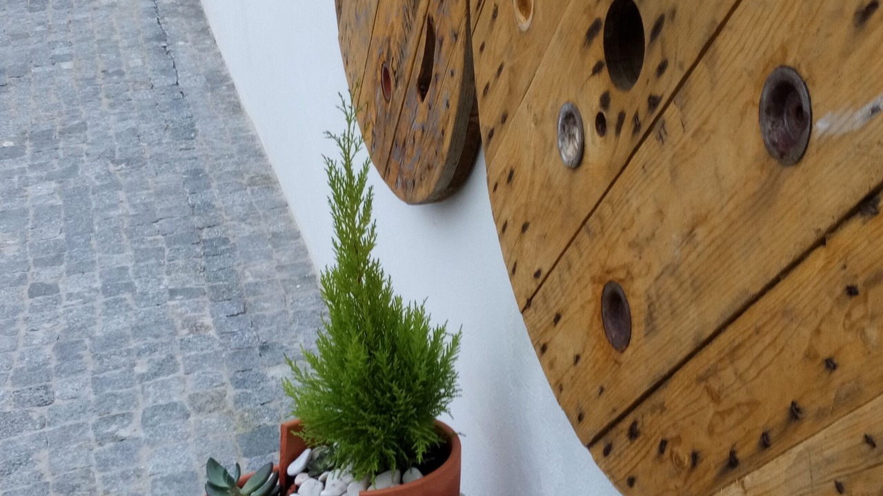 Photo of Outdoor in Casais do Rio