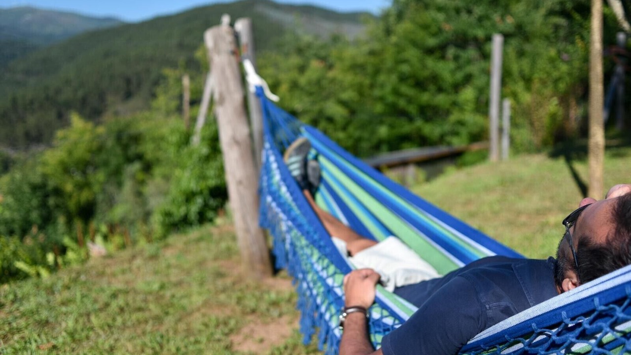 Photo of Outdoor in Arouca