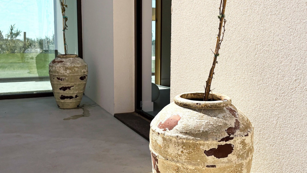 Photo of Outdoor in Azoia