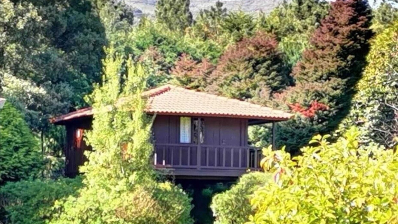 Photo of Outdoor in Santa Cruz