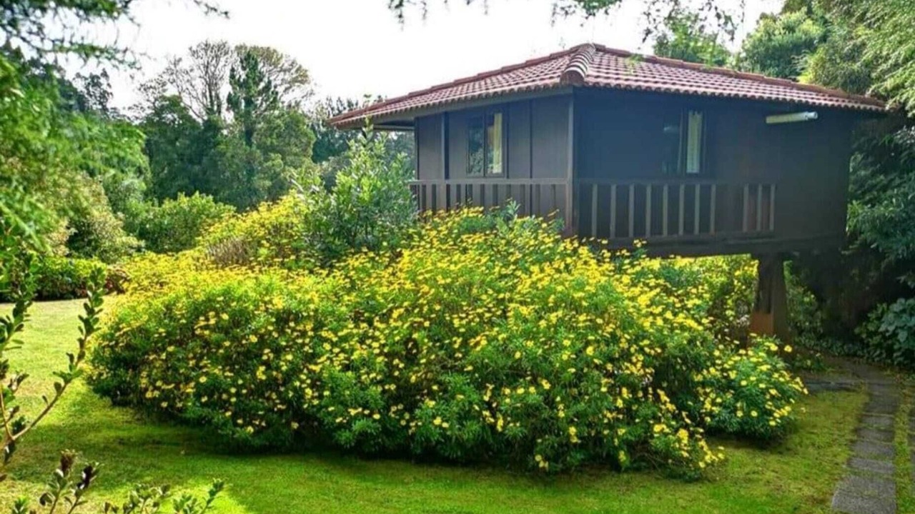 Photo of Outdoor in Santa Cruz
