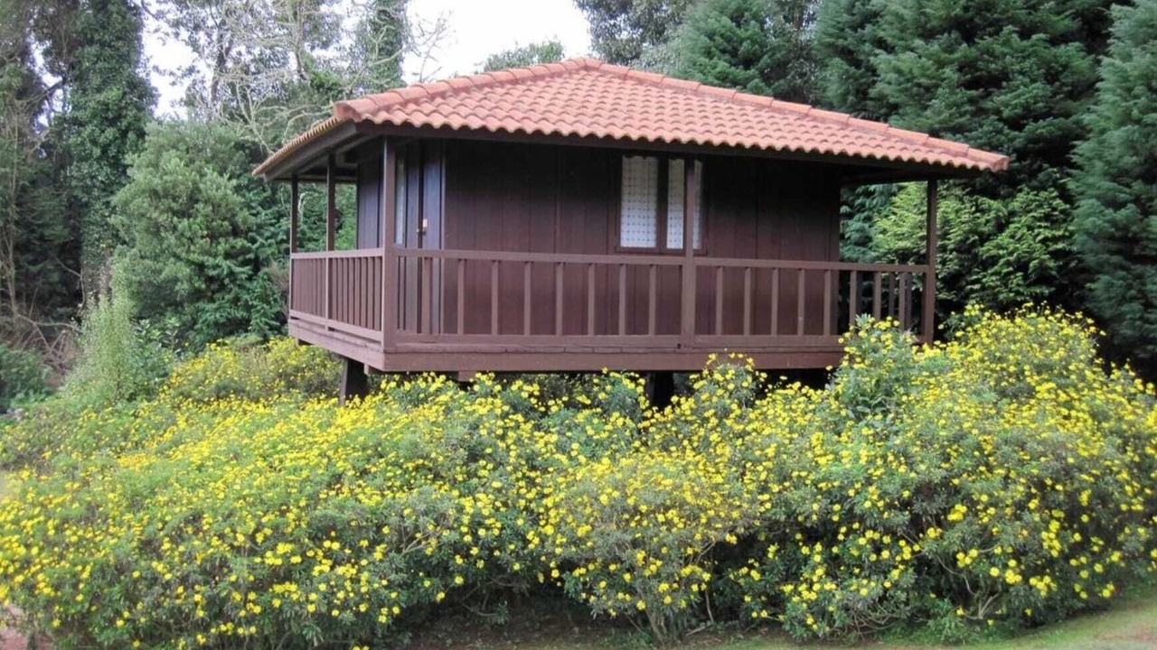 Photo of Outdoor in Santa Cruz