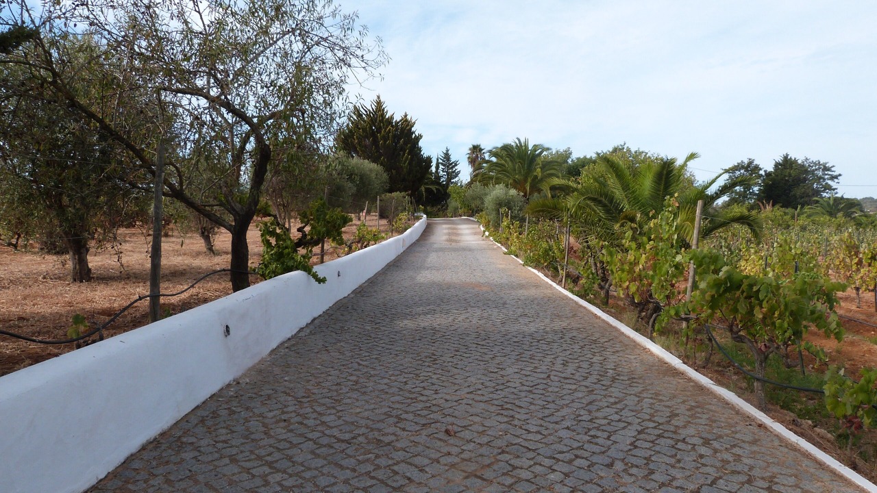 Photo of Outdoor in Carvoeiro