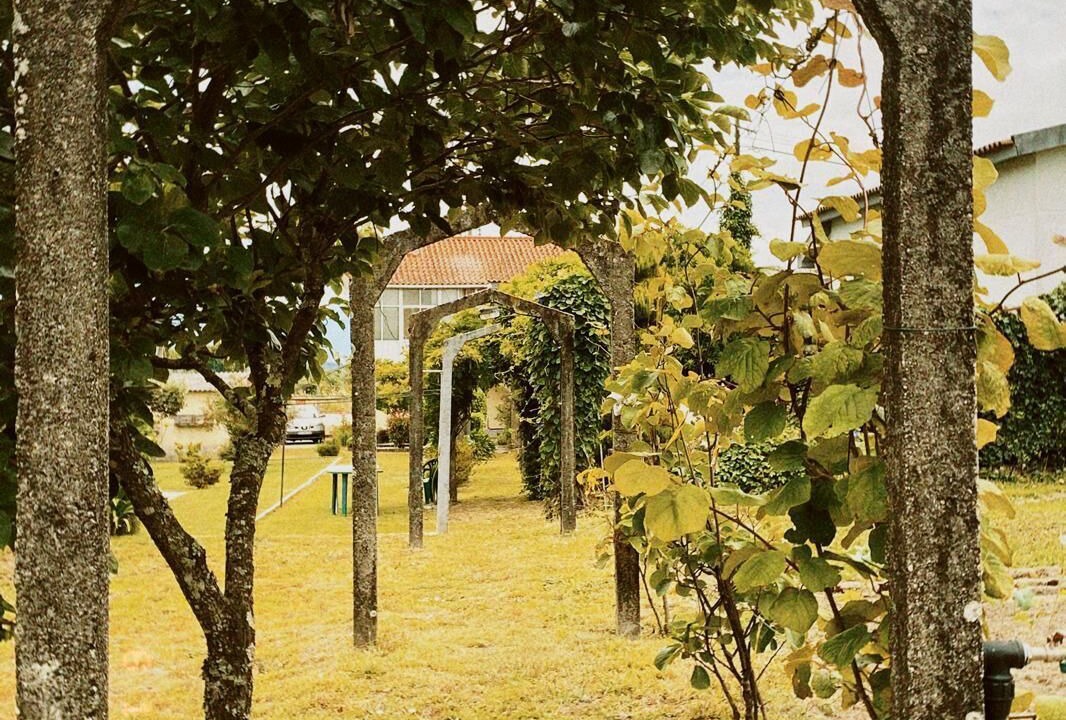 Photo of Outdoor in Nelas