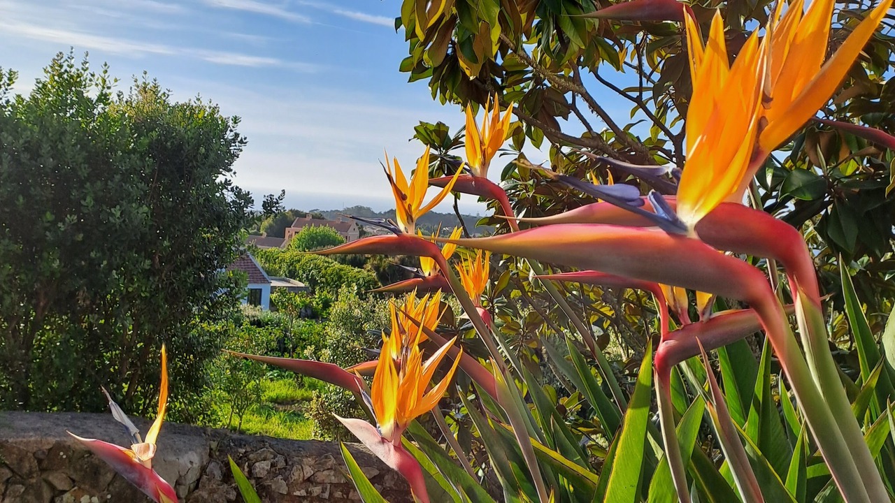 Photo of Others in Monserrate