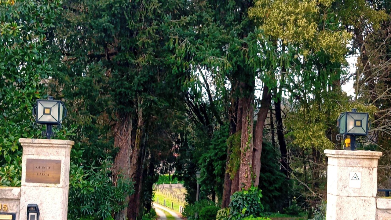 Photo of Outdoor in Esposende