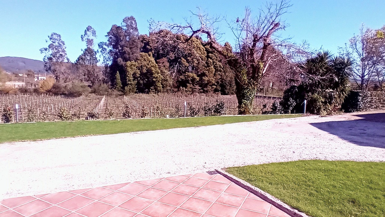 Photo of Outdoor in Esposende