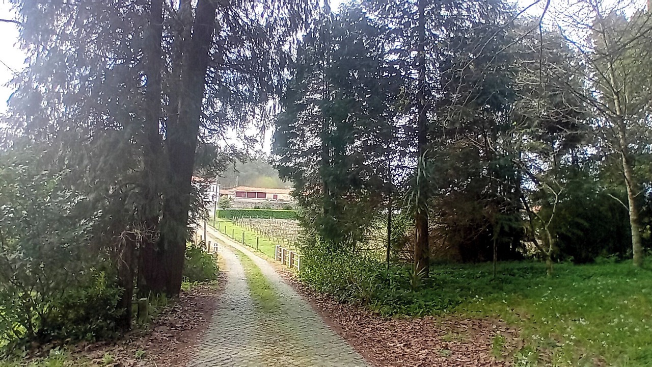Photo of Outdoor in Esposende