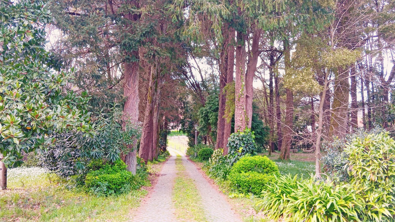 Photo of Others in Esposende