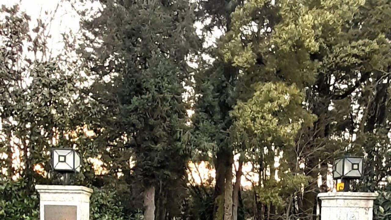 Photo of Outdoor in Esposende