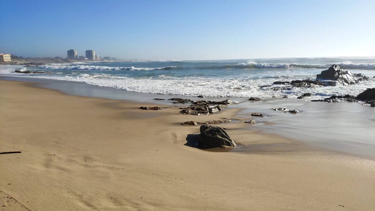 Photo of Others in Vila do Conde