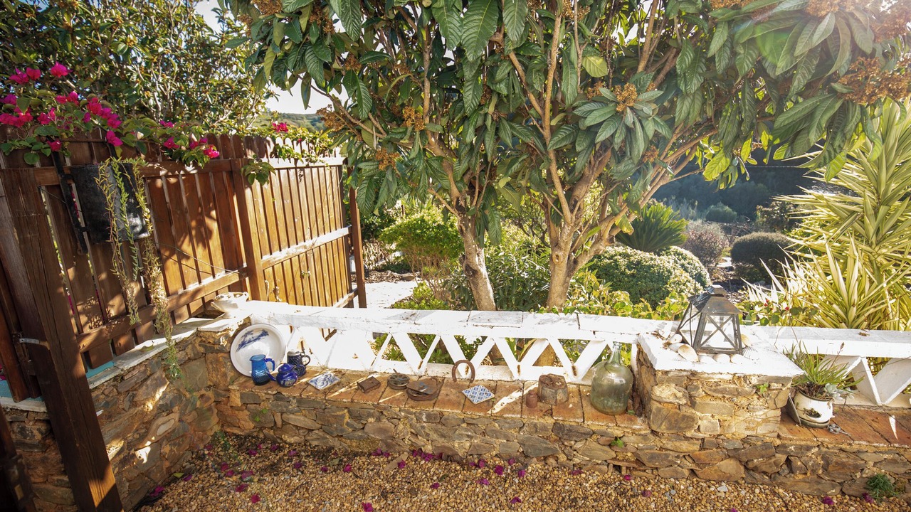 Photo of Outdoor in Fonte do Bispo
