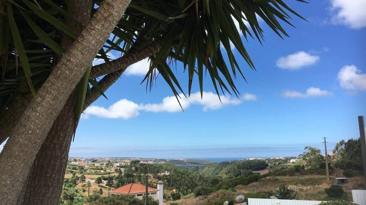Photo of Others in Mafra