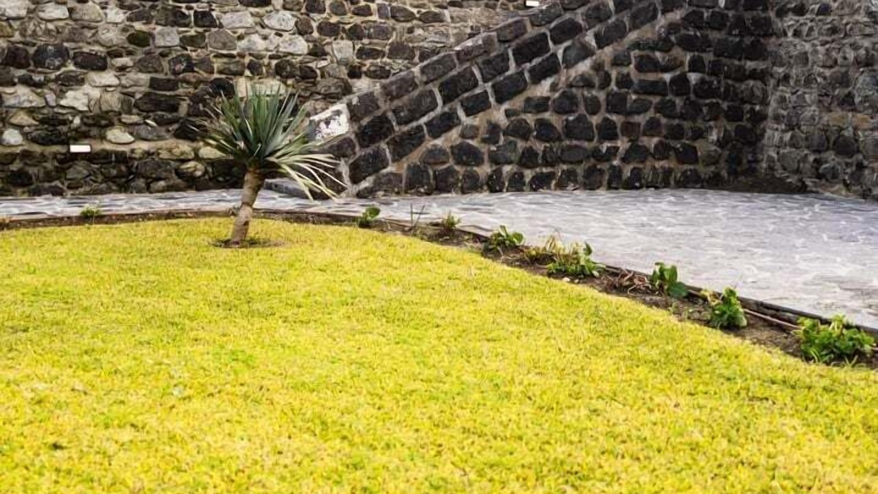 Photo of Outdoor in Ribeira Grande