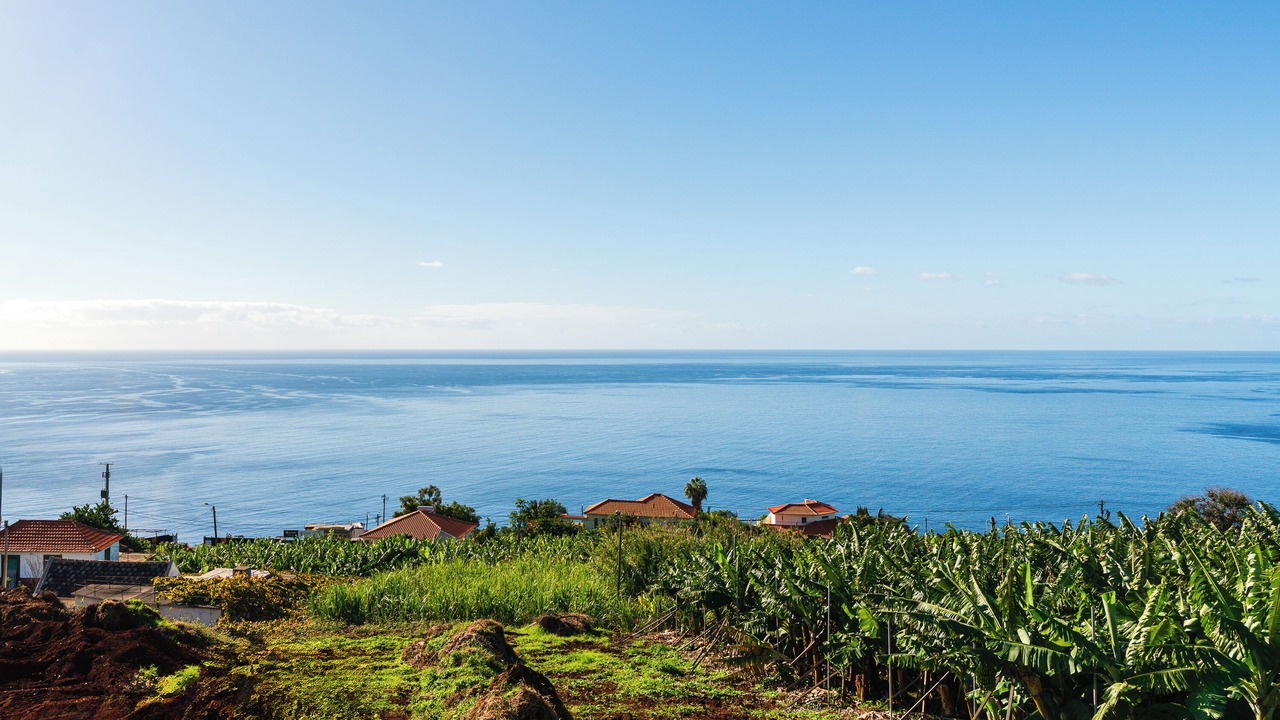 Photo of Others in Estreito da Calheta