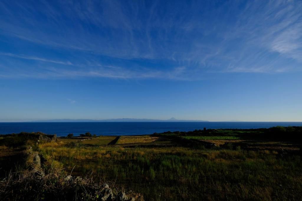 Photo of Others in Santa Cruz da Graciosa