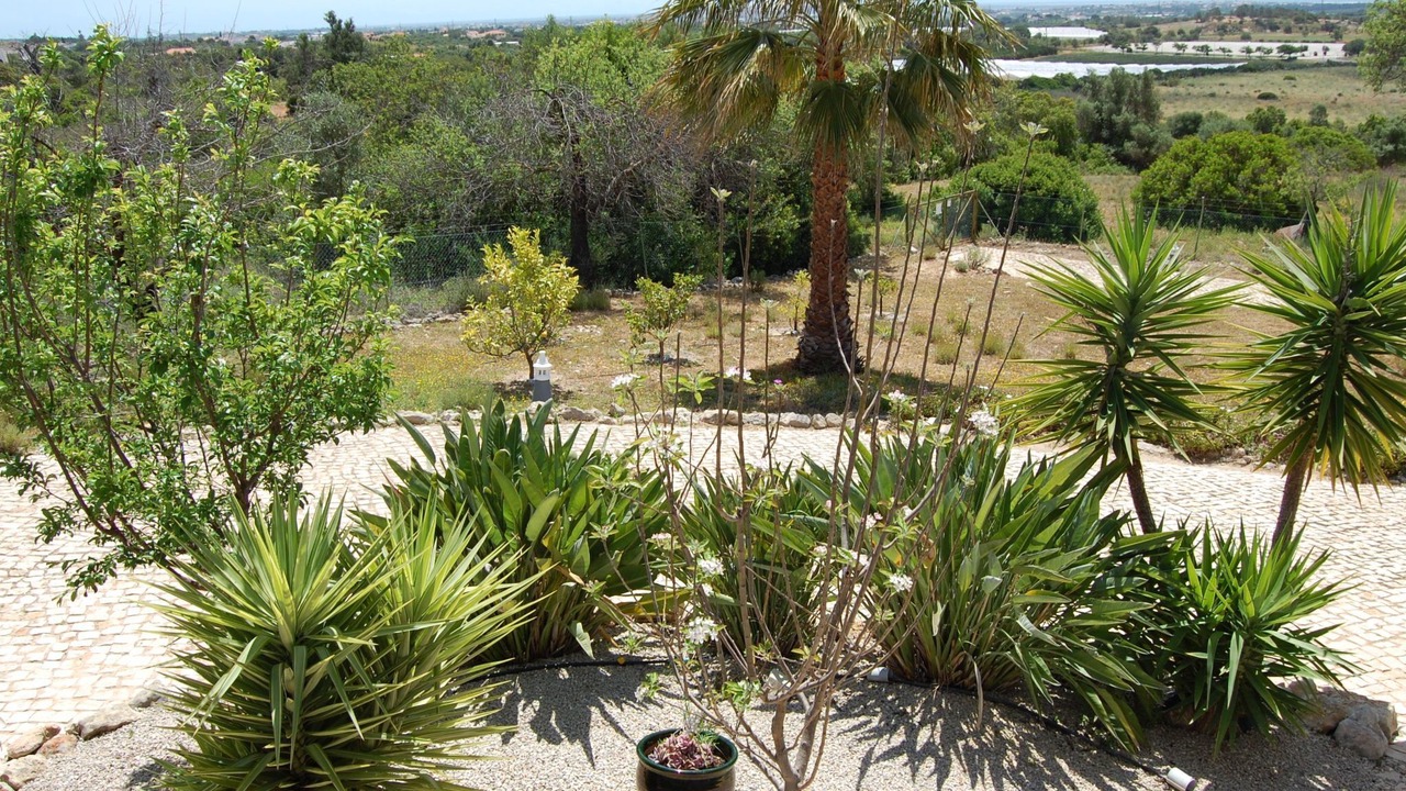 Photo of Others in Falfosa