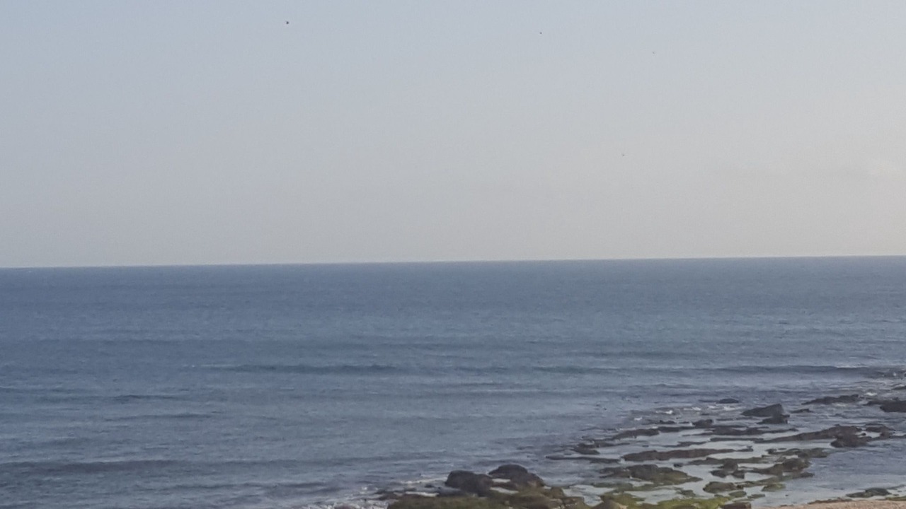 Photo of Others in Buarcos