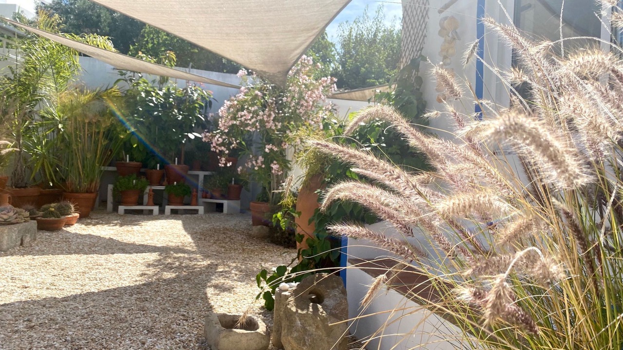 Photo of Outdoor in Aldeia