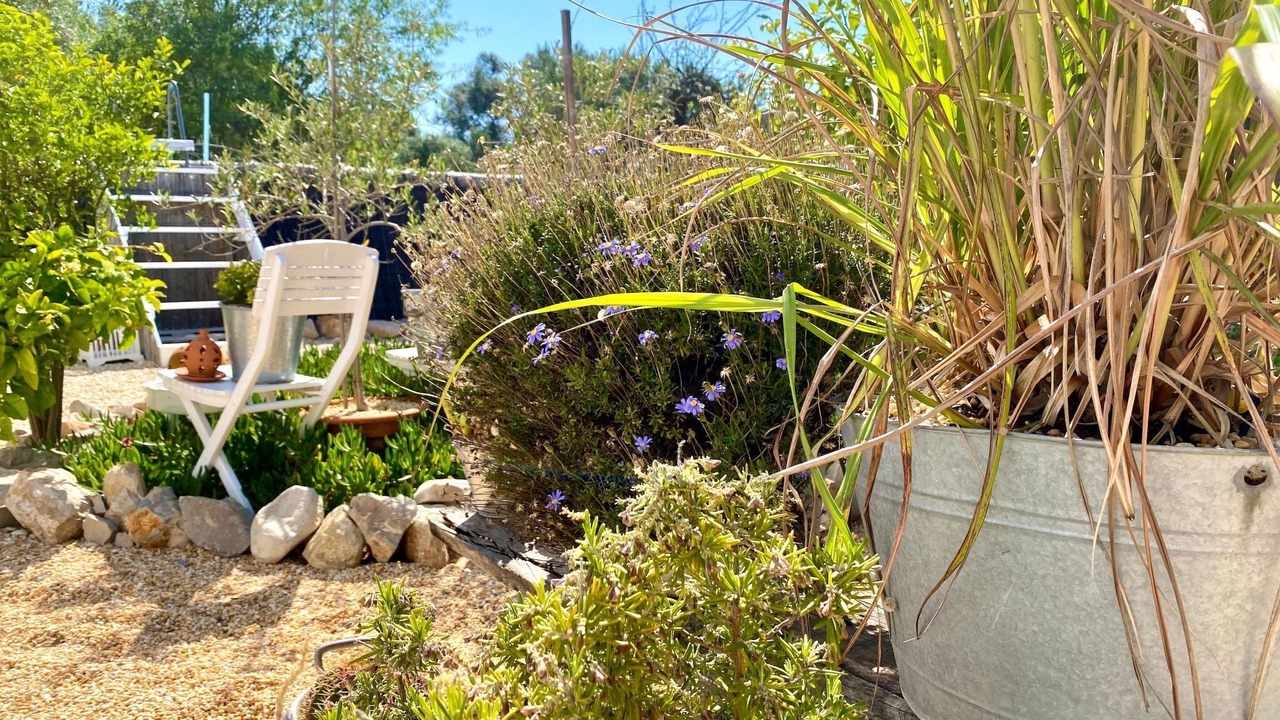 Photo of Outdoor in Aldeia