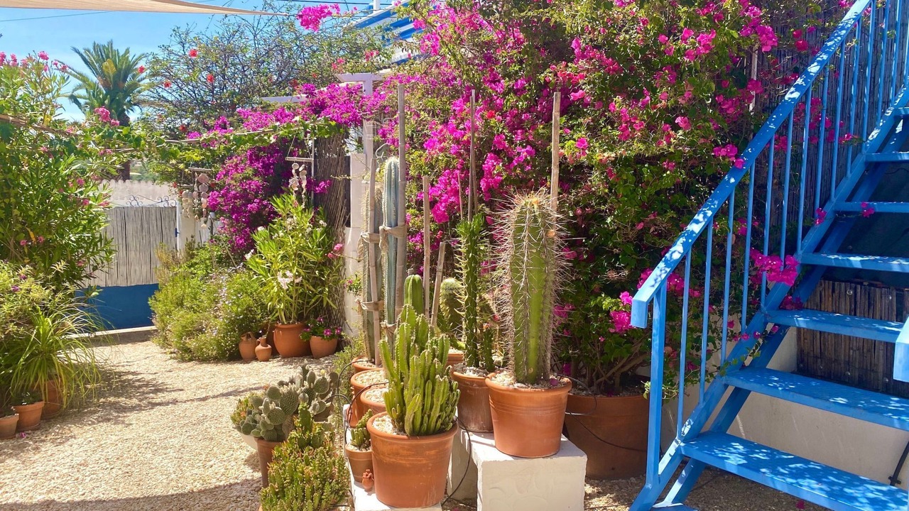 Photo of Others in Aldeia