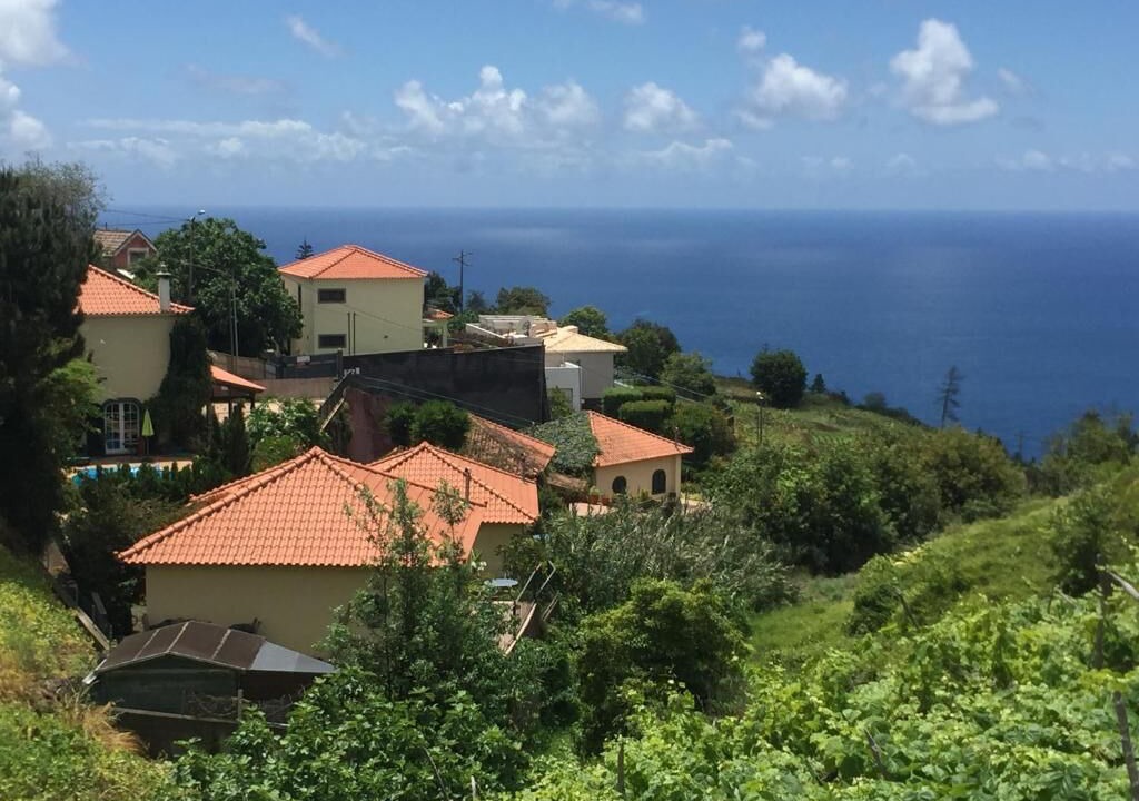 Photo of Others in Estreito da Calheta