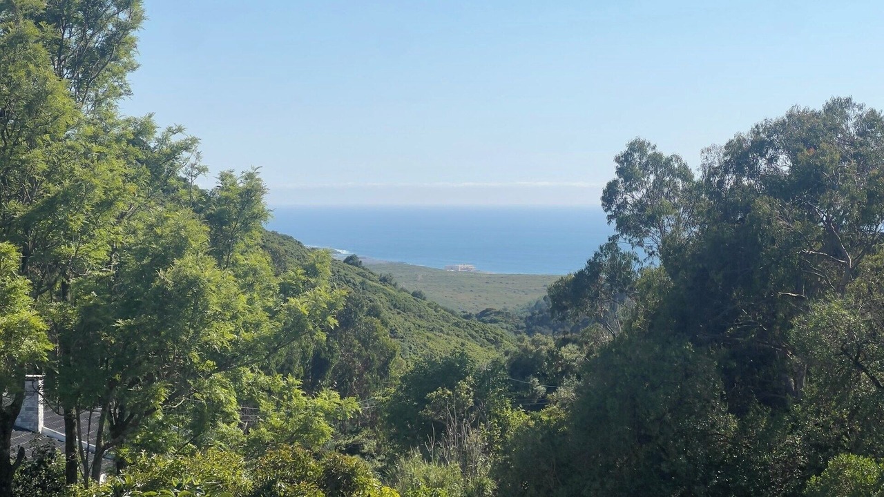 Photo of Others in Malveira da Serra