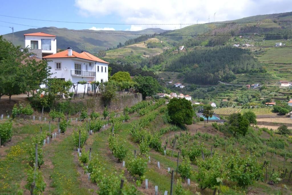Photo of Outdoor in Baiao