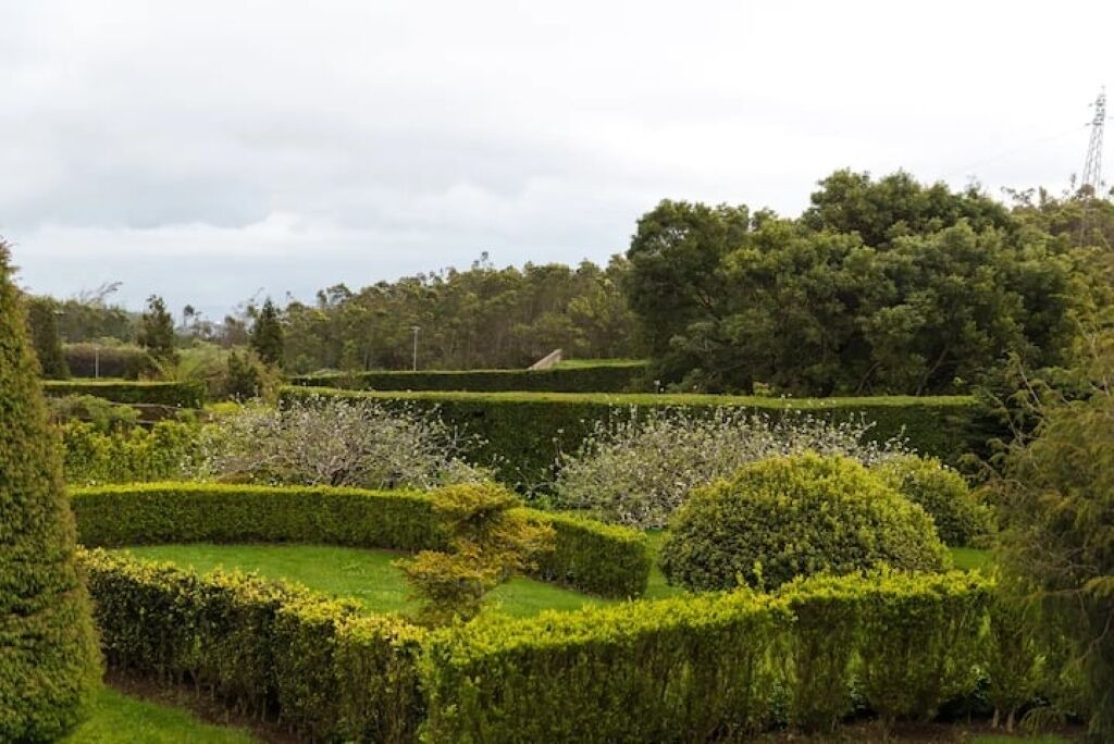 Photo of Outdoor in Santo da Serra