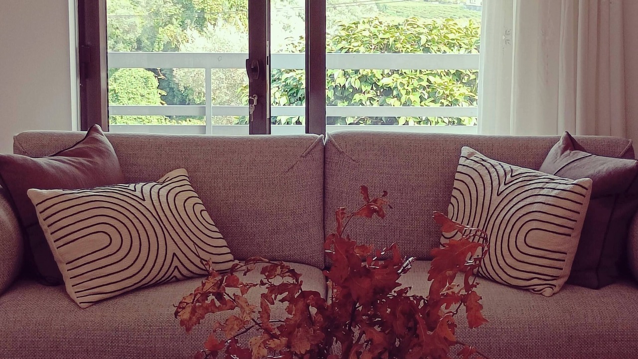 Photo of Livingroom in Pico