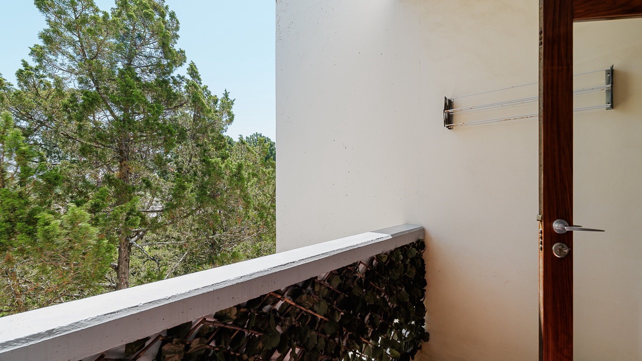 Photo of Outdoor in Carvalhal