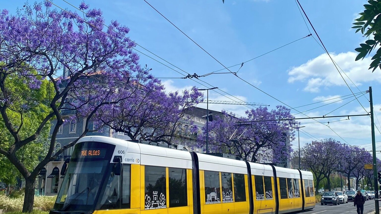 Photo of Others in Santos
