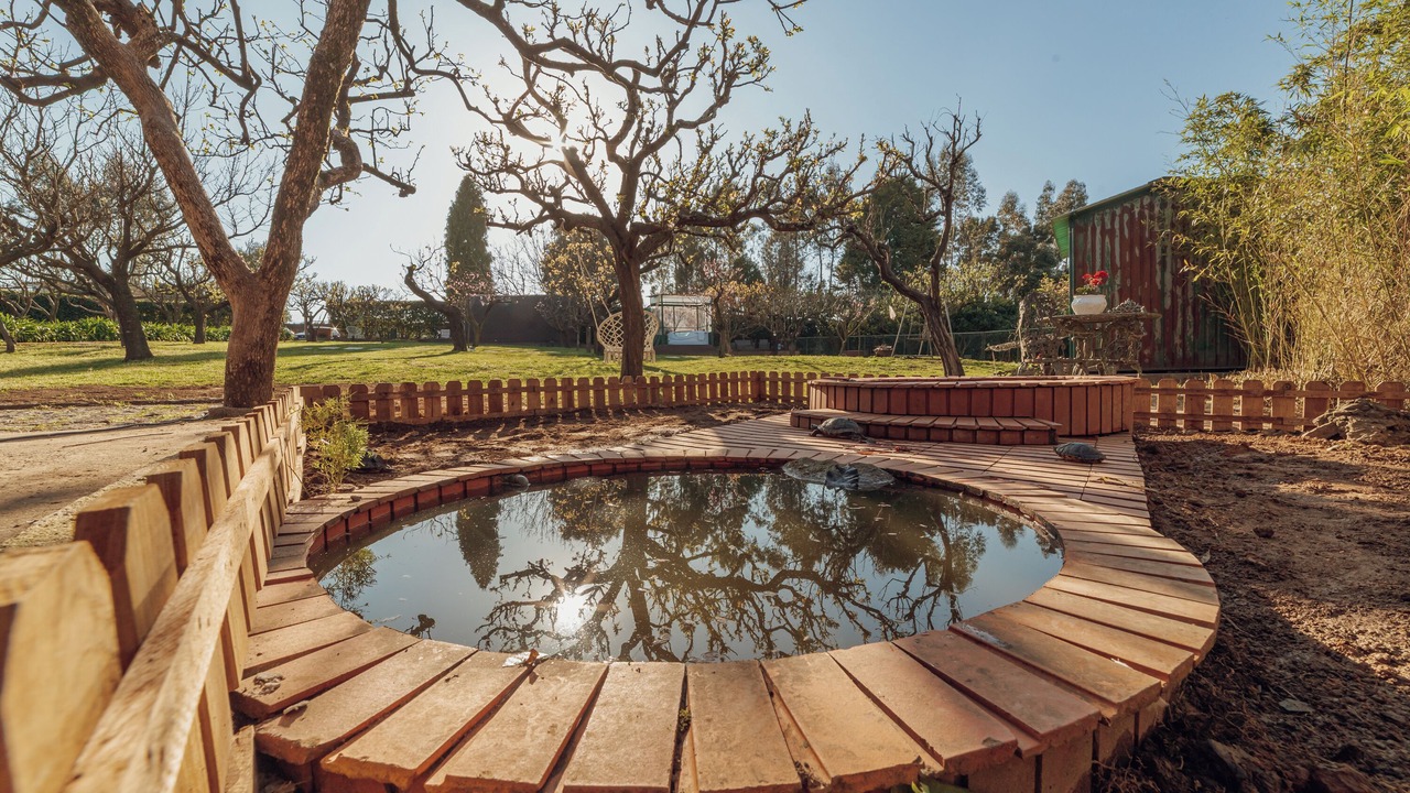 Photo of Outdoor in Mozelos