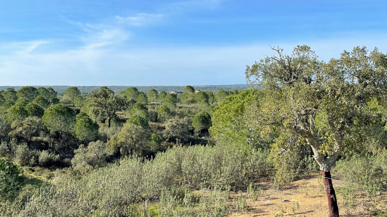 Photo of Others in Santa Margarida da Serra