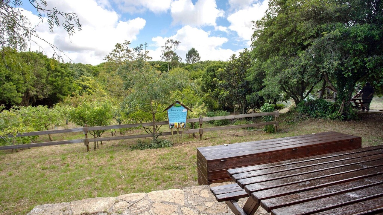 Photo of Outdoor in Lourinha