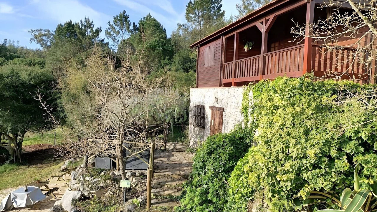 Photo of Outdoor in Lourinha