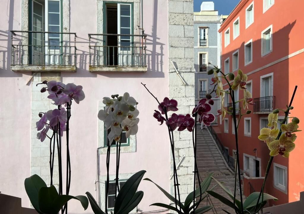 Photo of Outdoor in Baixa