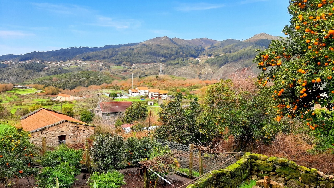 Photo of Others in Lindoso