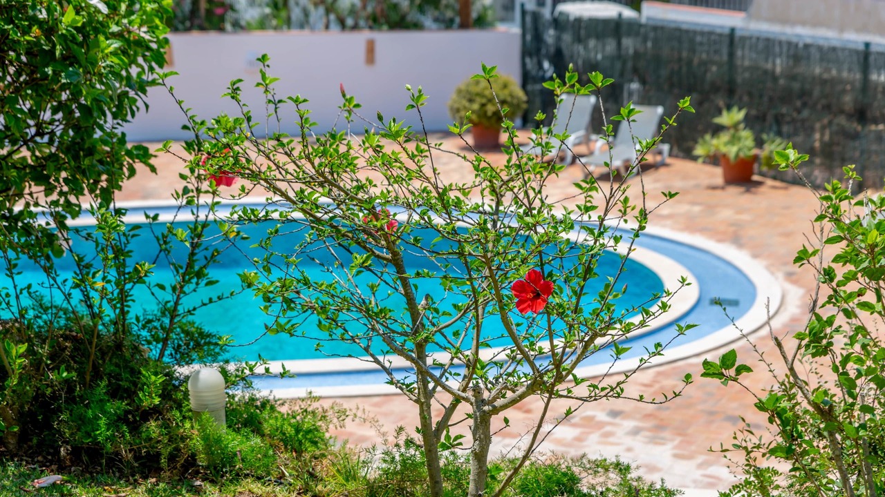 Photo of Outdoor in Patio