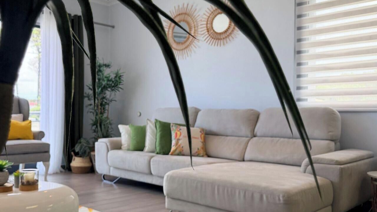 Photo of Livingroom in Madalena
