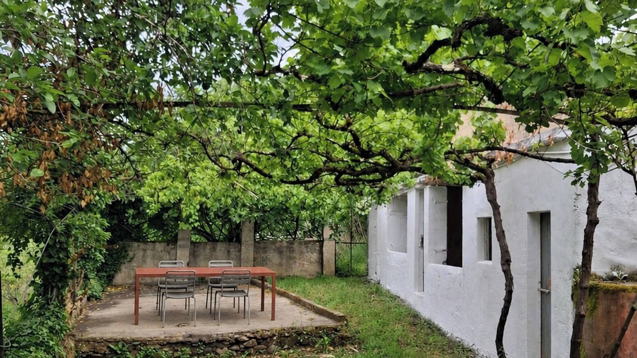 Photo of Outdoor in Lousa