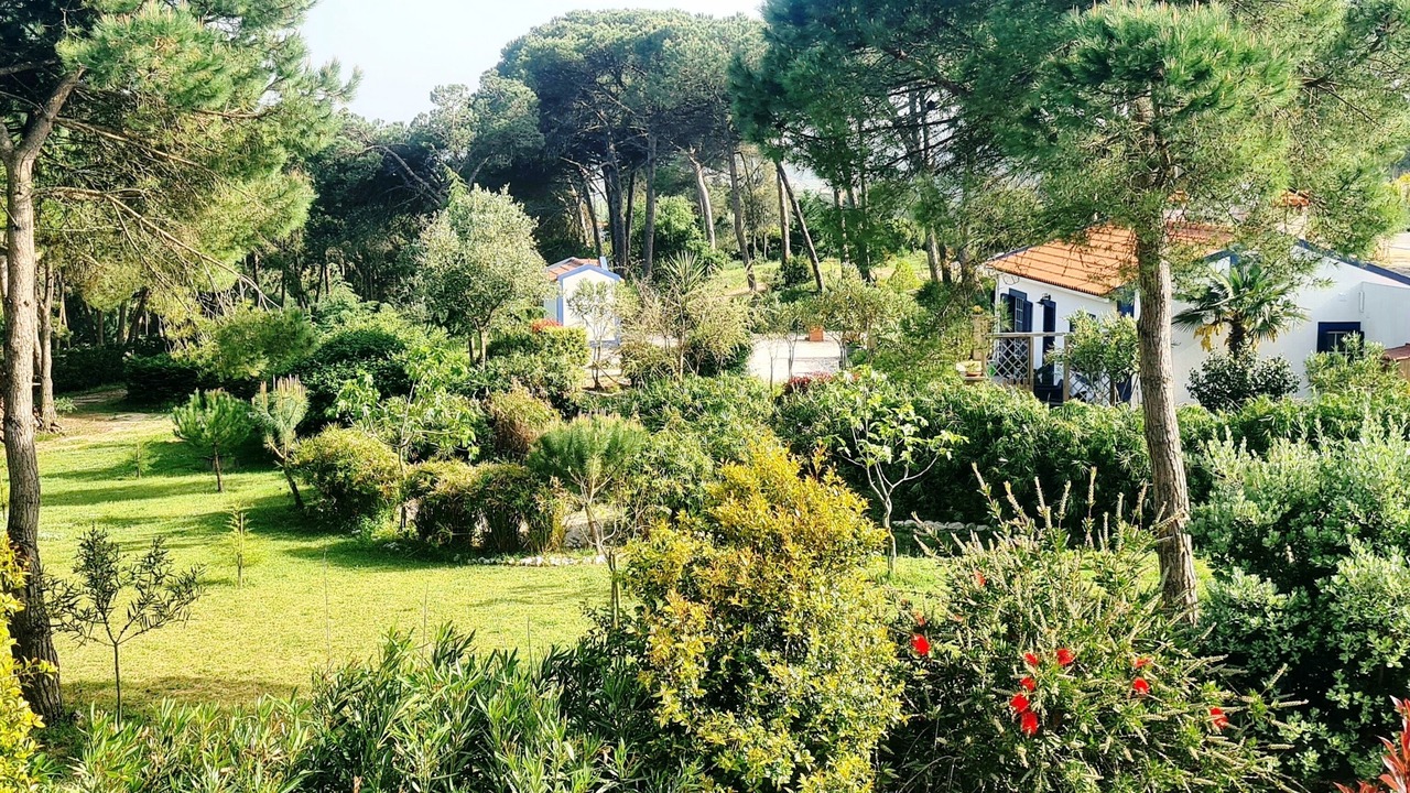 Photo of Outdoor in Obidos